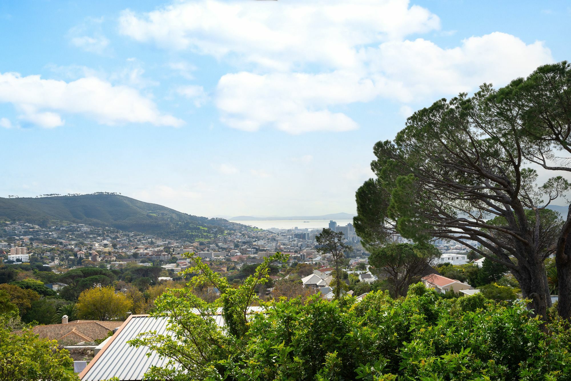 Glencoe 40 Apartment Cape Town Bagian luar foto